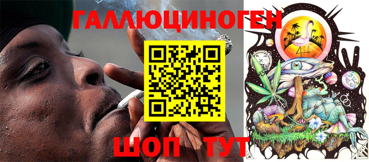 Тольятти  Псилоцибиновые грибы Psilocybe  Вход с VPN 