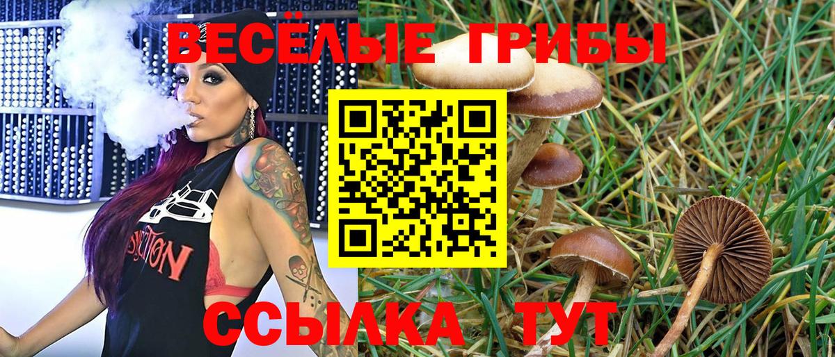 Псилоцибиновые грибы ЛСД Тольятти